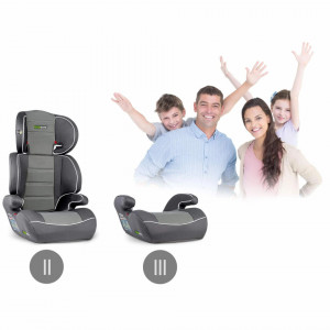 Scaun auto transformabil, Inaltator auto, 2 grupe de varsta, 15-36 kg, Ricokids, Sandro, Grey