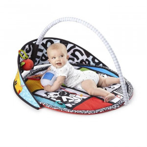 Salteluta de activitati pentru copii, Baby Einstein, Bold New World