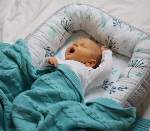 Tiny Star - Babynest Pastel Spring & Grey, cuib pentru bebelusi, ajustabil, portabil, reductor patut