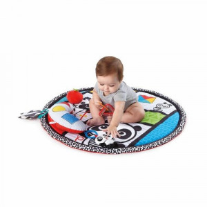 Salteluta de activitati pentru copii, Baby Einstein, Bold New World