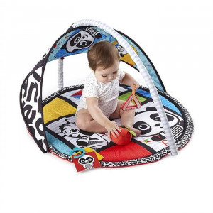 Salteluta de activitati pentru copii, Baby Einstein, Bold New World