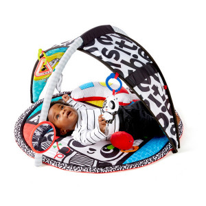 Salteluta de activitati pentru copii, Baby Einstein, Bold New World