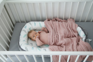 Babynest Tiny Star Grey&Plumes, cuib pentru bebelusi, ajustabil, portabil, reductor patut