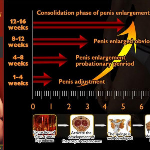 ZedRX_Plus_Men_Enlarging_Gel_Penis_Enlargement_Gel