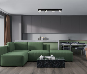 Spot aplicat, Spot aplicat negru, Spot aplicat modern negru, Spoturi aplicate, Spot de interior, Spot modern, Spot aplicat modern, Spot modern negru, Spot modern aplicat, Spot dormitor, Spot living, Spot aplicat bucatarie, Spot aplicat interior, Spoturi i
