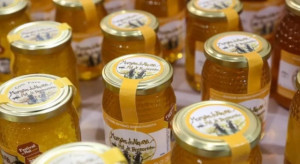 Rosemary Pure Honey from Alqueva Alentejo 500g