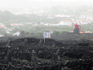Azores Generous Wine CZAR 2013 D.O.P. Pico Island  0,75l