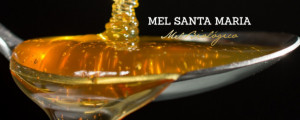 Santa Maria Mel Biologico de Urze 500g