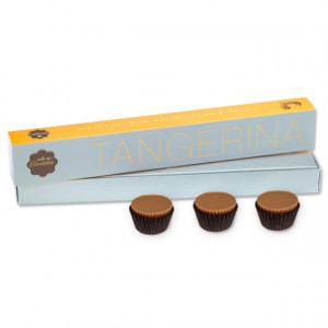 Arcádia Chocolates com sabor a TANGERINA (8 uni.)
