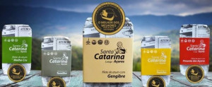 Filetes de Atum Santa Catarina Açores (conjunto 10 conservas)