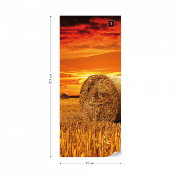 Gold Countryside Field Nature Photo Wallpaper Wall Mural