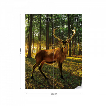 Stag In The Forest Sunrise Photo Wallpaper Wall Mural