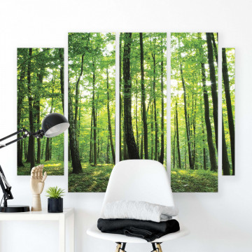Forest & Trees Canvas Photo Print