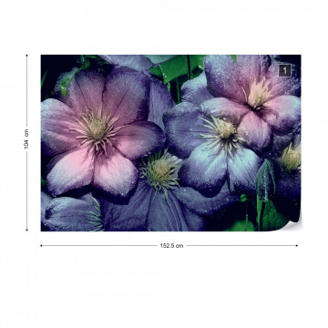 Fototapet Purple Flowers Photo