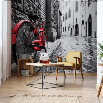 Black And White Red Bicycle Old Street Photo Wallpaper Wall Mural