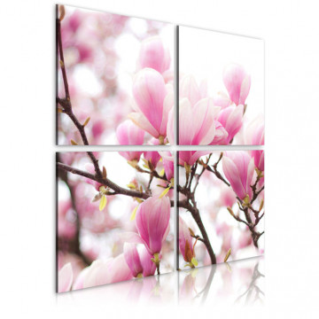 Tablou - Blooming magnolia tree