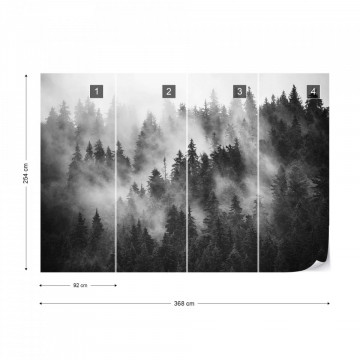 Fototapet - Pădure de Brazi în Ceață – Alb-Negru