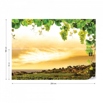 Grapes Vines Countryside Landscape Photo Wallpaper Wall Mural