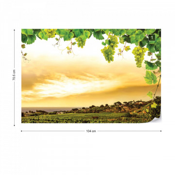 Grapes Vines Countryside Landscape Photo Wallpaper Wall Mural