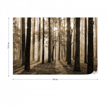 Fototapet - Răsărit de Soare în Pădure – Sepia