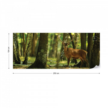 Deer In The Forest Nature Photo Wallpaper Wall Mural