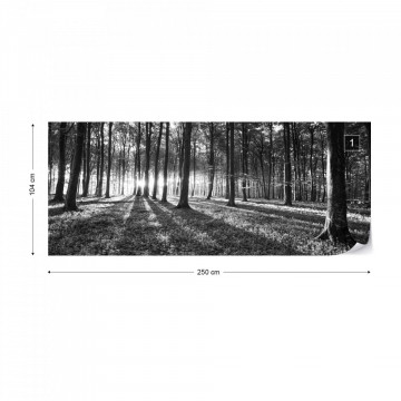 Forest Landscape Black And White Photo Wallpaper Wall Mural