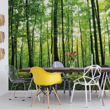 Forest Trees Green Nature Photo Wallpaper Wall Mural