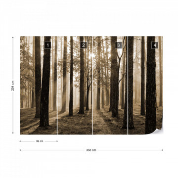 Fototapet - Răsărit de Soare în Pădure – Sepia