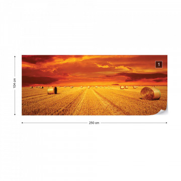 Gold Countryside Field Nature Photo Wallpaper Wall Mural