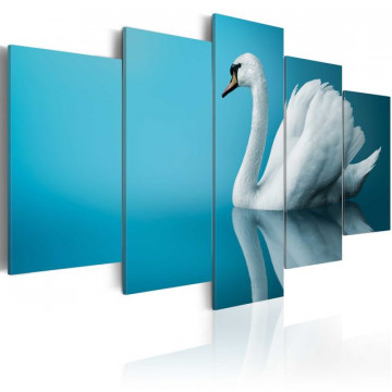 Tablou - A swan in blue