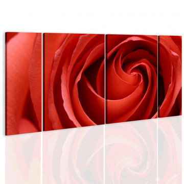 Tablou - Passionate rose