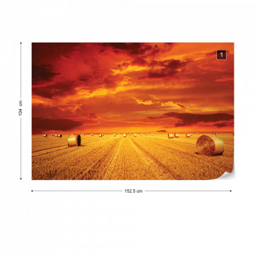 Gold Countryside Field Nature Photo Wallpaper Wall Mural