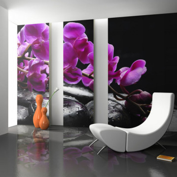 Fototapet - Relaxing moment: orchid flower and stones