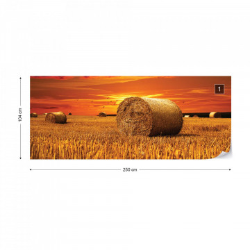 Gold Countryside Field Nature Photo Wallpaper Wall Mural