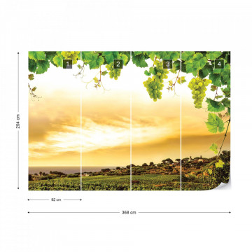 Grapes Vines Countryside Landscape Photo Wallpaper Wall Mural