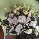 Ramo PUREZA