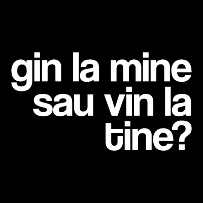 tricou unisex negru "gin la mine sau vin la tine?"