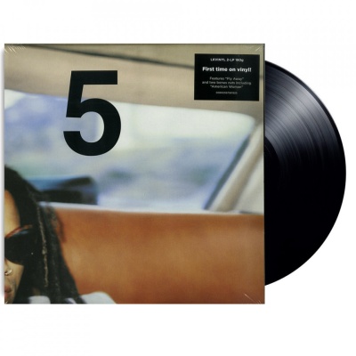 dublu vinil Lenny Kravitz - 5