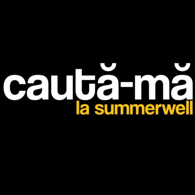 tricou unisex "caută-mă" Tombabe & SummerWell collab. *ediție limitată