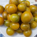 SEMINTE ROSII - T. 128 GREEN GRAPE