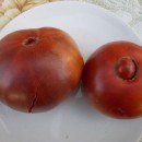 SEMINTE ROSII - T. 24 BLACK KRIM