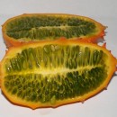 SEMINTE - D. 08 KIWANO