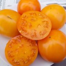 SEMINTE ROSII - T. 106 GOLDEN GIANT