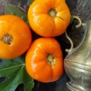 SEMINTE ROSII - T 398 MACHETTENSKIE ORANGE