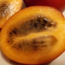 SEMINTE - D. 90 TAMARILLO ROSU-CYPHOMANDRA BETACEA-COPACUL CU ROSII