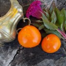 SEMINTE ROSII - T 316 NICOVIOTIS ORANGE