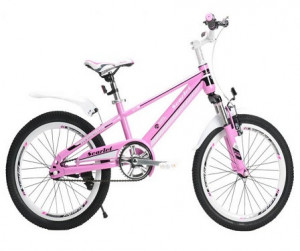 Winner Bike SCARLET 20 pink