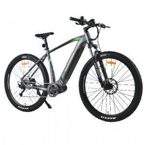 MS Energy e-bike M100