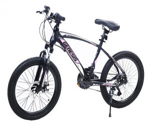 Winner Bike GENESIS VALVET 20