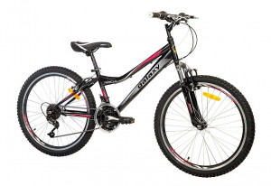 Favorit FOSTER 4.0 24 crn cikl